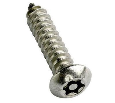 Tamper Proof Screw
