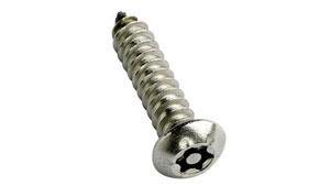 Tamper Proof Screw