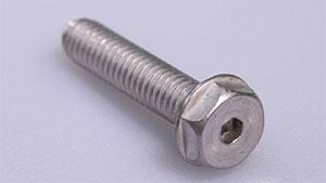 Hex Bolt